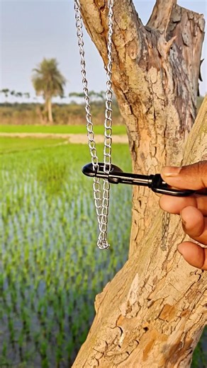 wow perfect genius magic idea ✅💡#shorts #lifehacks #magic #viral #shortsfeed