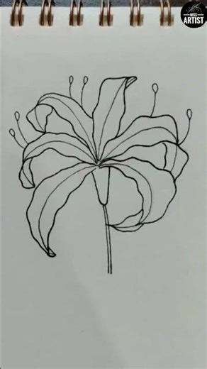 Spider Lily flower drawing #easydrawing #howtodraw #minidrawing #illustration #art