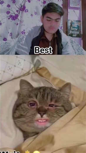 ghar jala haa tera..#funny #comedy #trending #hilarious #youtube #entertainment #laugh #black #cat