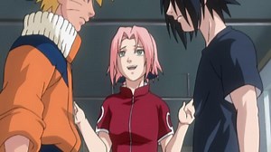 Naruto - 5 Épisode 107 : Sasuke contre Naruto - streaming - VF et VOSTFR - ADN