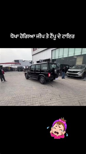 Understanding Punjabi Northern Tales of Deception