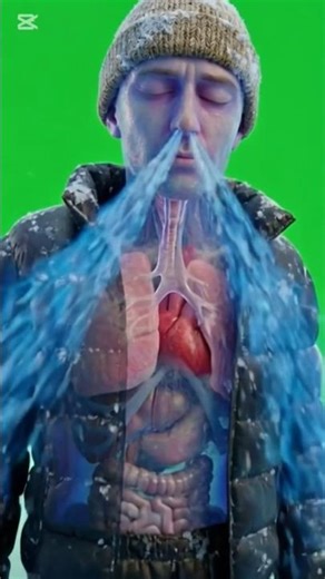 추워요 그냥 추운게 아녀~ 한랭 질환 무서운겁니다 체온유지와 휴식 꼭! #날씨 #한냉질환 #저체온증