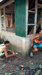 Papel pala | Spain Viners