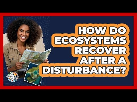 How Do Ecosystems Recover After a Disturbance?