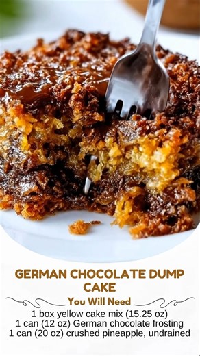 German Chocolate Dump Cake Ingredients: - 1 box yellow cake mix (15.25 oz) - 1 can (12 oz) German chocolate frosting - 1 can (20 oz) crushed pineapple, undrained - 1 cup chopped pecans - 1/2 cup butter, sliced - 1 cup shredded coconut Directions: 1. Preheat oven to 350°F (175°C). 2. Lightly grease a 9x13-inch baking dish. 3. Spread the crushed pineapple evenly in the bottom of the prepared baking dish. 4. Spoon dollops of German chocolate frosting over the pineapple. 5. Sprinkle the yellow cake 