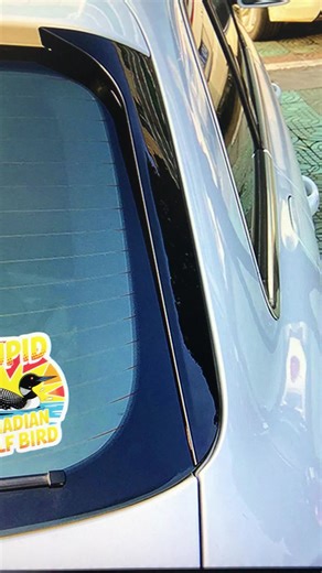 Silly Wolf Bird Sticker #stupidcanadianwolfbrid #stickers