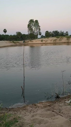 547K views · 6.4K reactions | சின்ன மீன் கொத்தி | Small King fisher | Reels | Facebook | Tamil | Iyarkai Pannai #facebook #facebookreels #facebooktamil #reels #viralreels #tamilreels #reelstamil #farmingreels Farm Farming Fish farming Fishing fish hunt #farm #farming #fishing #fishfarming #fishhunting #kingfisher #tamil #bird #viral #fish | iyarkaipannai | Facebook