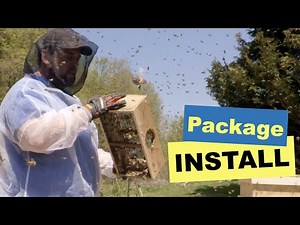 Installing a package of bees on Layens Frames!