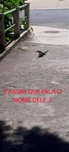 GANHEI O DIA DE VER ESSA PINTURA !!!!