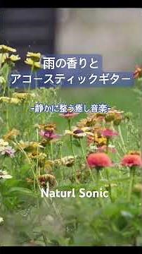 Natural Sonic「雨の香りとアコースティックギター」— 静かに整う癒し音楽 —