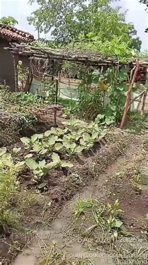 organic forming make#gardeningtips#short #shortsfeed#tranding#organicfarming #vegetable#smartfarming