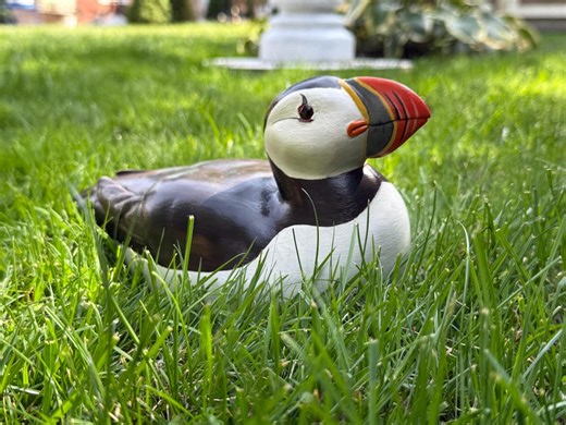 Hand Carved Wood Duck | Painted Life-size Puffin | Handmade Decoy, Made in America by American Artisan - Etsy