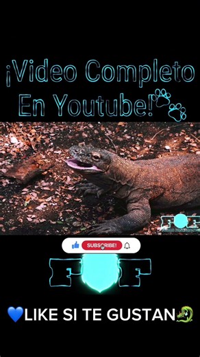 La Oscura Vida del Dragón de Komodo