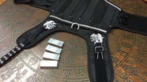 1.9K views · 41 reactions | Up close with our Weight Vest | Rogue Royalty | Facebook