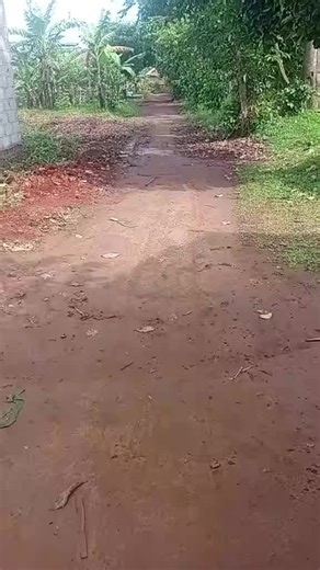 Macgyver (@macgyver9092)’s videos with original sound - Haulahmulungi🦓🕋🙏💜