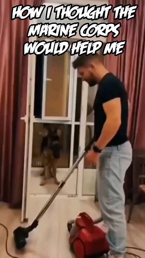 7K views · 6K reactions | Help 藍 #helpme #helpdesk #dogs #meme #memes | Dieter Grabowski | Facebook