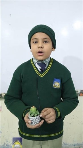 Plants | Parts of Plants | Types & Importance of Plants | Science for Kids