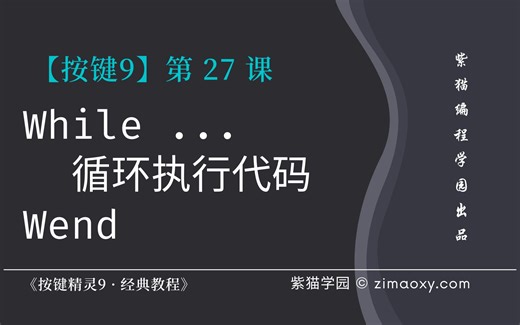 【按键9】第27课 条件循环While...Wend - 《按键精灵9 · 经典教程》
