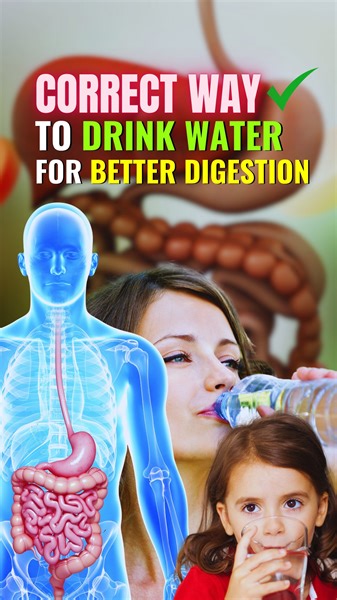 223K views · 4.3K reactions | Correct Way to Drink Water For Better Digestion ✅ Drinking water is essential for good digestion, but there are ways to optimize its benefits for your digestive system. Here's the correct way to drink water for better digestion. #healthapta #drinkwater #digestion #waterbottle #stayhydrated #drinkresponsibly #digestivehealth #digestivesupport #waterbenefits #WaterIsLife #hydration #reelsvideos #follow4like | Healthapta | Facebook