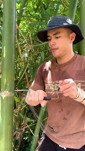 Survival Skills: How to Get Water from a BAMBOO Tree 💧💧#ohd #survival #camping #bushcraft #skills