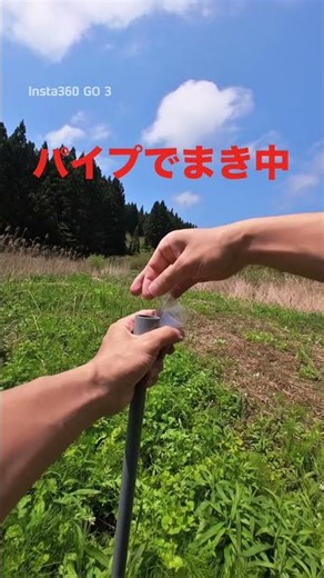 種まきしたよ！きび、あわ、キヌア、アマランサスまいたよ！みてくれよ！#再生栽培 #現代農業 #ファーム生活 #農業