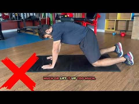 Understanding Exercises In The Gym | Isometric Knee Pushup Hold |