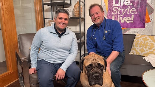 Poison prevention awareness month: Protecting your pets from household hazards