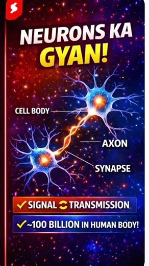 #biosnap Do you know? Human nervous system unit neurons