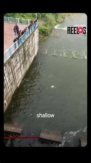 Jhansi Reel Stunt Goes Wrong: 30-Foot Jump Leaves Man With Both Legs Fractured #viral #shorts