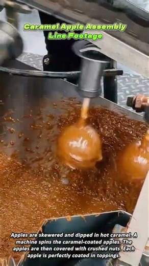 Caramel Apple Assembly Line Footage