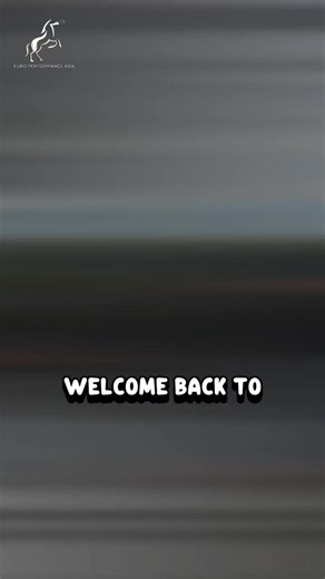 here’s some tips on how to check your car! hope this video helps💡 💡Browse More Listings: https://www.sgcarmart.com/used-cars/ listing?dl=2875 #sgcars #sgcarmart #europerformance #carcheck #fypchallenge | Euro Performance Asia Pte Ltd