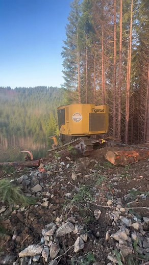 Ready to hook up to the @TimberMAX_USA again in the coming weeks to slay some more steep ground 🤘🏻 #tigercat #timbermax #tetheredcutting #getsome #chicksdigit #kirkpatrickcutting #selfmade #logging #sickforit