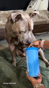 2.4M views · 70K reactions | 﫧懶識 Reign Was Playing Soccer With His...