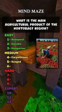 BrainBuster Quizzes: Test Your Knowledge about Hungary #shorts #hungary #hungarylife #hungaryeurope