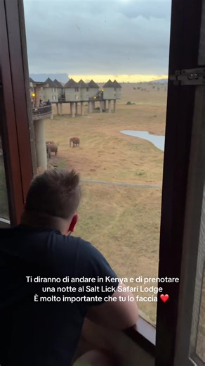 Viaggio indimenticabile al Salt Lick Safari Lodge in Kenya