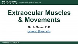 Extraocular Muscles & Movements