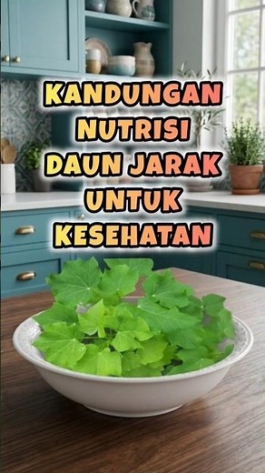 10 Kandungan Nutrisi Daun Jarak Untuk Kesehatan | Yuksehat Diary #daunjarak #jaraktanam #daun daun