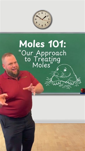 1.2K views · 12 reactions | Part 2 of our Mole Series is here: “Our...