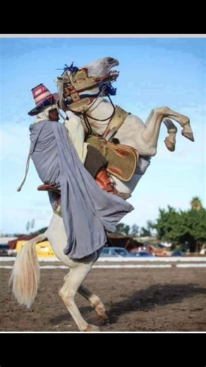 Cheval barbe, cavalerie numide et fantasia actuelle : Un lien multiséculaire Ou comment, dans ses moindres faits et gestes, la cavalerie numide a, depuis la plus haute antiquité, fortement inspiré la fantasia pratiquée de nos jours dans notre pays. Et, par extension, dans la partie nord de l’Afrique En Algérie, particulièrement, les origines de la fantasia remontent à la nuit des temps. C’est une véritable répétition d’un rituel guerrier pratiqué par nos ancêtres numides, en l’occurrence les cav