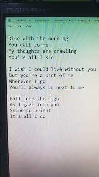 Vacations - Telephones Lyrics