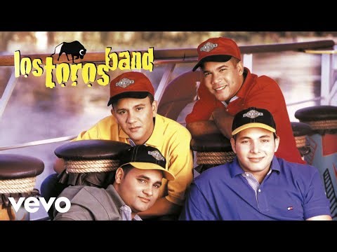 Los Toros Band - Mi Niña - Bachata Version (Visualizer)