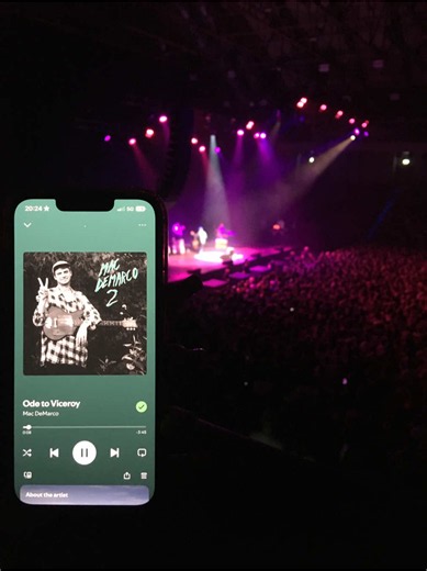 Mac DeMarco Target Audience Salad Days meaning
