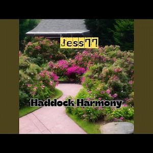 Haddock Harmony
