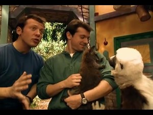 Zoboomafoo Cap. 30: "Saltarines"