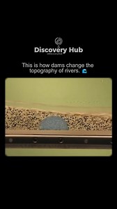 Dams significantly alter the natural topography and flow of rivers. Upstream of a dam, water is impounded to form a reservoir. This reservoir floods the surrounding landscape, submerging natural features such as valleys, forests, and, in some cases, human settlements. The result is the transformation of a dynamic river system into a more static, lake-like body of water. Downstream of the dam, the flow of water is often reduced and regulated. This can lead to several changes in the river's physic