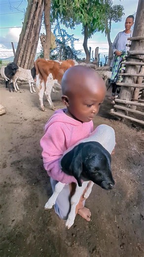 Baby Meets a Newborn Lamb 🐑 Pure Village Magic 🌿