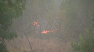 Homeless campfire blaze sparks brush fire near Hansen Dam