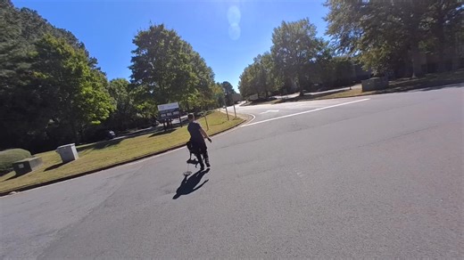 Northern Regional PD K9 Hank working a business park trail and alternating surfaces. Great example of how a proximity alert at the end of the track can pull the dog away from source. It is imperative that dogs learn how to solve these problems on their own without help. Georgia K9 National Training Center, LLC | Jeff Schettler