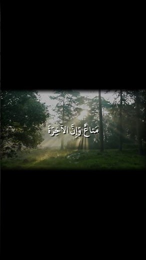 #quran #quranrecitation #islamicstatus #islamicvideo #muslim #قرآن #قران_كريم #اسلام