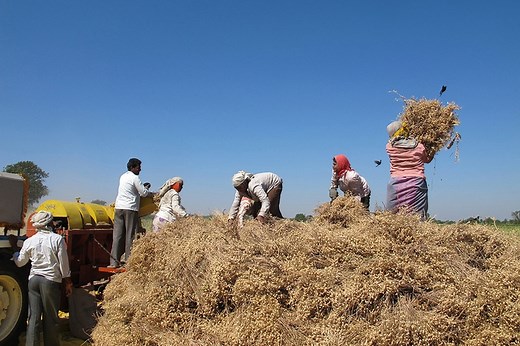 This company is using agricultural waste to make fuel. Here's how